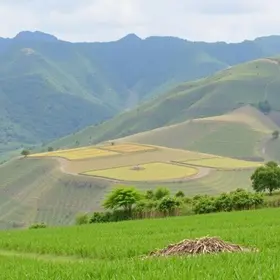 vagas de emprego Bertioga