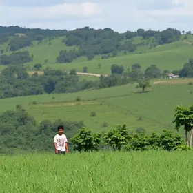 Mutirões do Novo RG