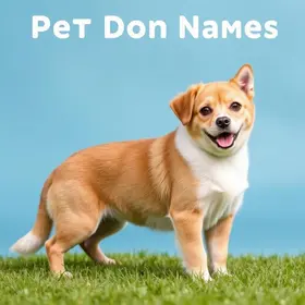 RG Pet