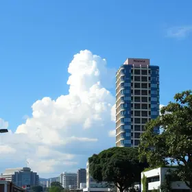 ações da Suzano