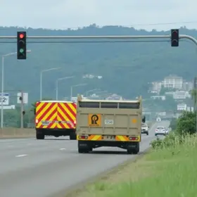 cassações e suspensões de CNH